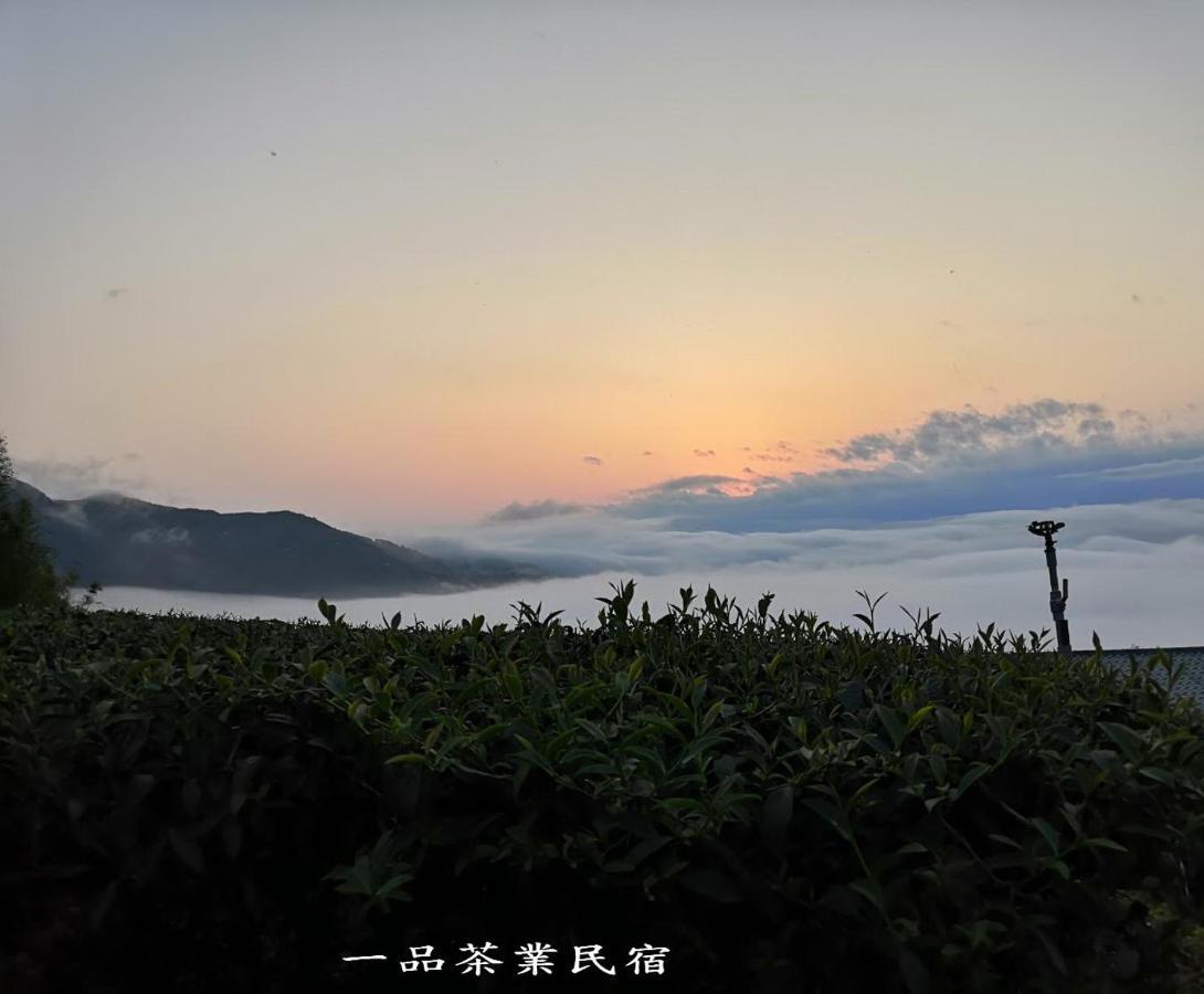 Gaodiyuan Tea B&B 高帝園茶業民宿 Meishan Exteriér fotografie